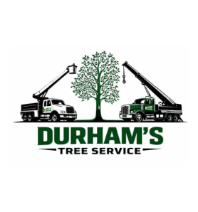 durhamstree