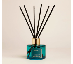 Reed Diffusers For Homes – LLUM