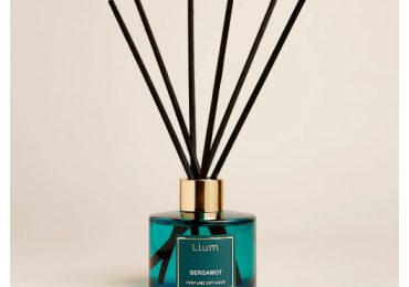 Reed Diffusers For Homes – LLUM