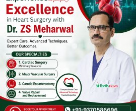 Best Cardiac Surgeon Dr. ZS Meharwal India
