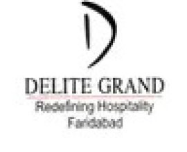 Hotel delite grand