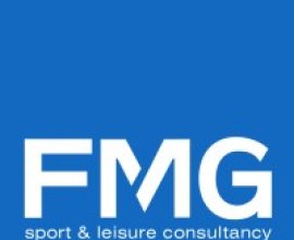 FMG Consulting Limited