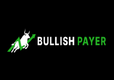 Bullish Payer Ltd
