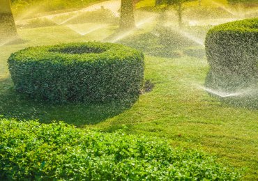 Mr. Sprinkler, LLC