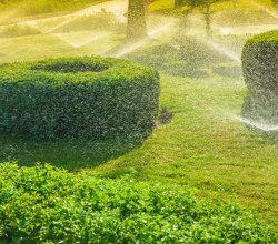 Mr Sprinkler LLC