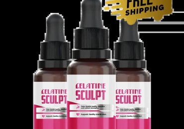 Gelatine Sculpt