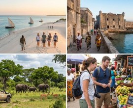 Mozambique eVisa Online for Aruba Citizens – Online eVisa Application