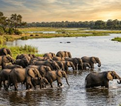 Botswana eVisa for the Netherlands Antilles