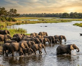 Botswana eVisa for the Netherlands Antilles