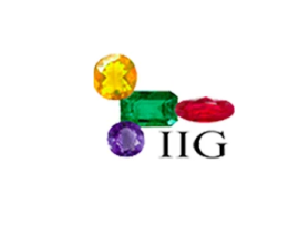 Indian Institute of Gemology