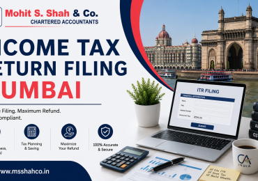 Professional Income Tax Return Filing Mumbai Services