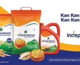 7217324989 Independence fmcg distributorship Investment profitable opportunities