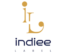 Best Festive Wear Outfits for Women in India | Indiee Label