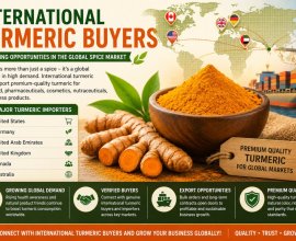 International Turmeric Buyers | Connect with Global Importers through Tradologie