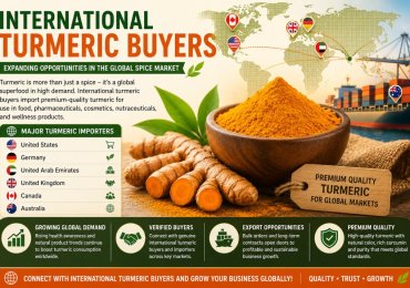 International Turmeric Buyers | Connect with Global Importers through Tradologie