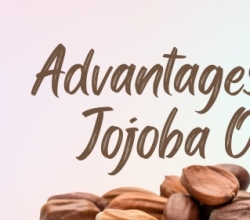 Jojoba Oil Is Your New Best Buddy If You Have Oily Skin.