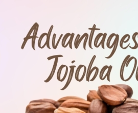 Jojoba Oil Is Your New Best Buddy If You Have Oily Skin.