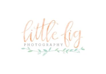 Little Fig Photography