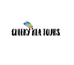 Unforgettable Kiwi Tours New Zealand | Cheeky Kea Travel