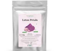Lotus Petals