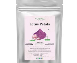 Lotus Petals