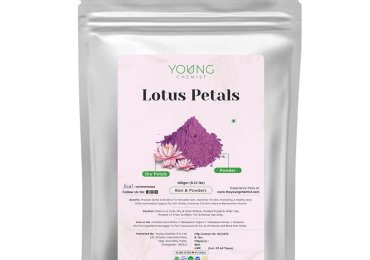 Lotus Petals