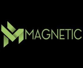 Magnetic Control