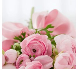 Everyday Flowers and Balloons