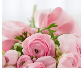 Everyday Flowers and Balloons