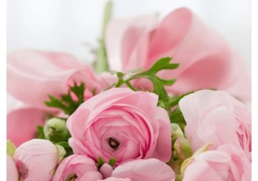 Everyday Flowers and Balloons