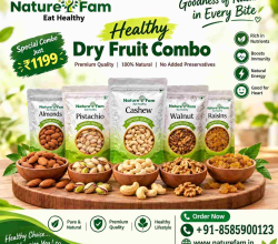 Healthy Dry Fruit Combo | Premium Quality Dry Fruits – NaturefamDescription
