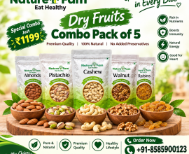 Dry Fruits Combo Pack of 5 – Premium & Healthy Choice