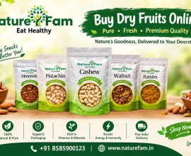 Buy Dry Fruits Online | Premium Quality Dry Fruits – Naturefam
