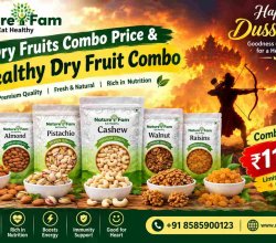 Dry Fruits Combo Price & Healthy Dry Fruit Combo | Dry Fruits