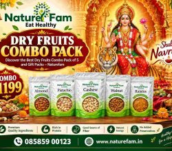 Dry Fruits Combo Pack: Discover the Best Dry Fruits – Naturefam
