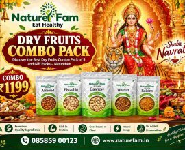 Dry Fruits Combo Pack: Discover the Best Dry Fruits – Naturefam