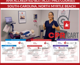 Flexible BLS, ACLS & PALS Training for North Myrtle Beach