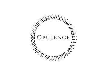 Opulence Chicago LLC