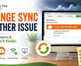 Troubleshooting Orange Sync Weather Issue