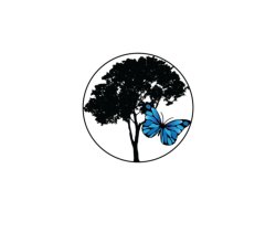 PKM Life Transitions