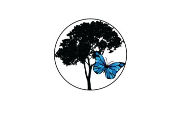PKM Life Transitions
