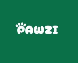 Pawzi