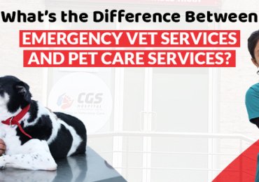 Pet Care Service  | CGS Hospital