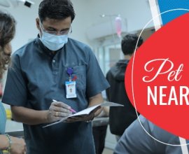 Pet Doctors Near Me  | CGS Hospital