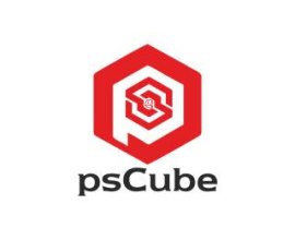 Ps Cube Industries