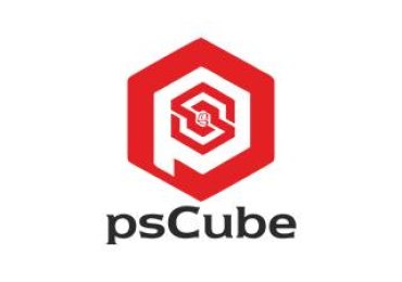 Ps Cube Industries