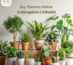 Planters & Décor in Bengaluru | Bodhi