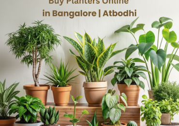 Planters & Décor in Bengaluru | Bodhi
