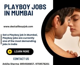 9759578201 Apply for Gigolo service in Maharashtra,Call Boy required urgently for our agency