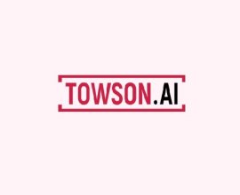 Towson Nederland BV